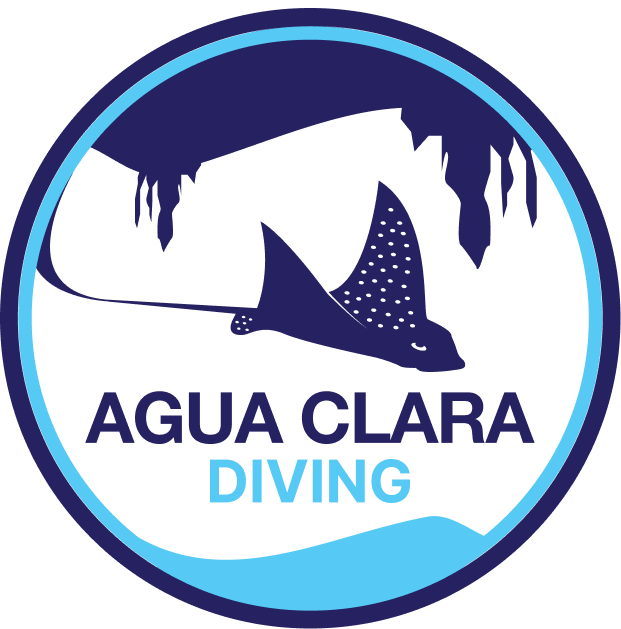 Aguaclara Diving